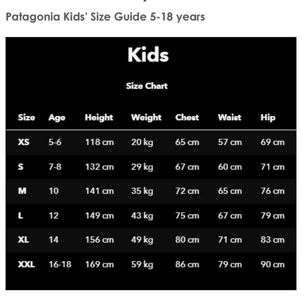 Patagonia Puffy Shell - Picture 7 of 7
